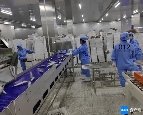 文昌約亭產業園發展駛上快車道，打造產業新高地